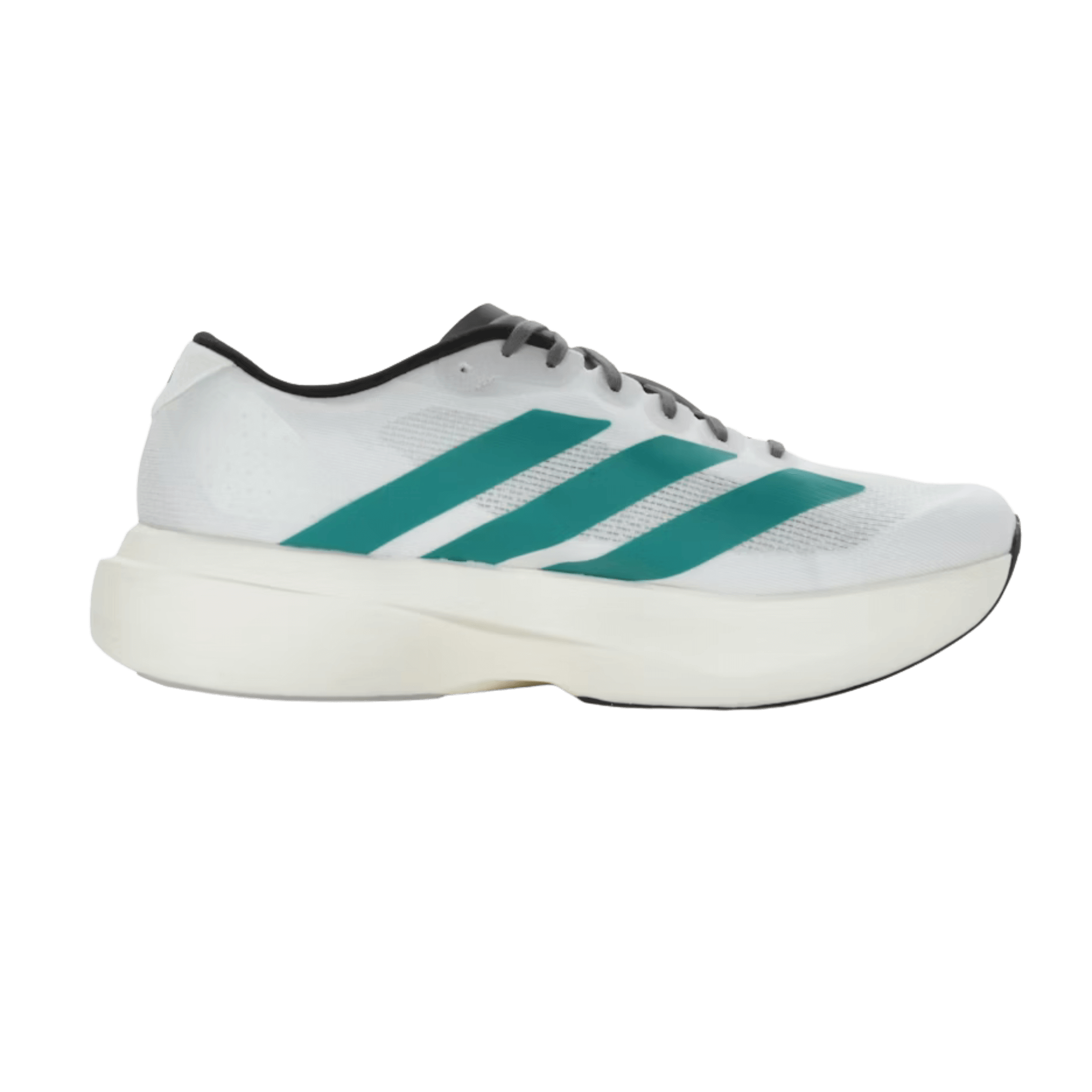 adidas adizero EVO SL／24.5 adidas Adizero EVO SL Shoes - Green | Free Shipping with