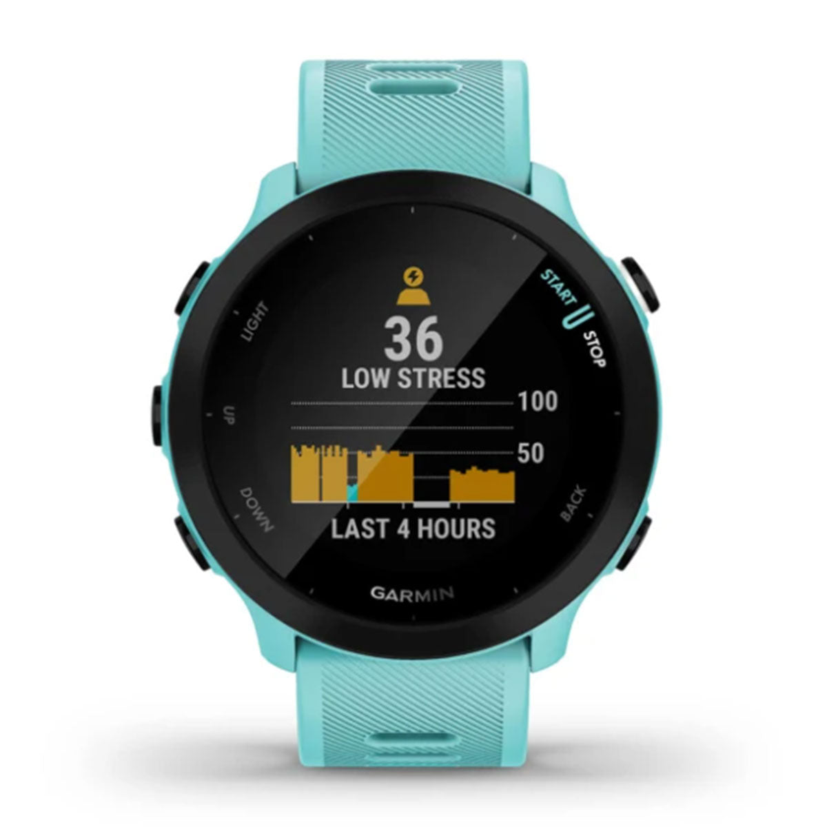 FORERUNNER 55, GPS