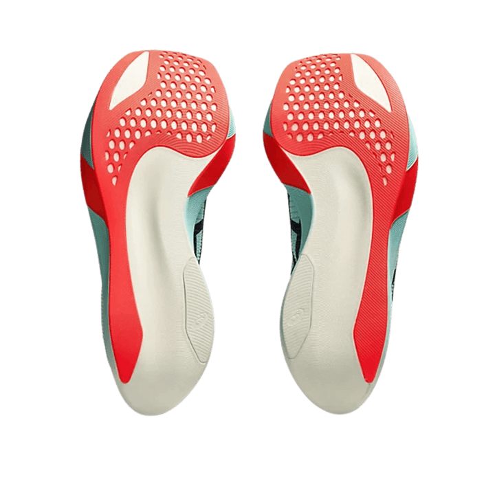 ASICS MEN AND WOMEN'S METASPEED SKY PARIS