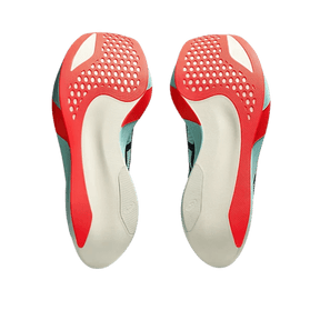 ASICS MEN AND WOMEN'S METASPEED SKY PARIS