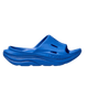 Electric Cobalt/Electric Cobalt