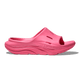 Neon Rose/Neon Rose