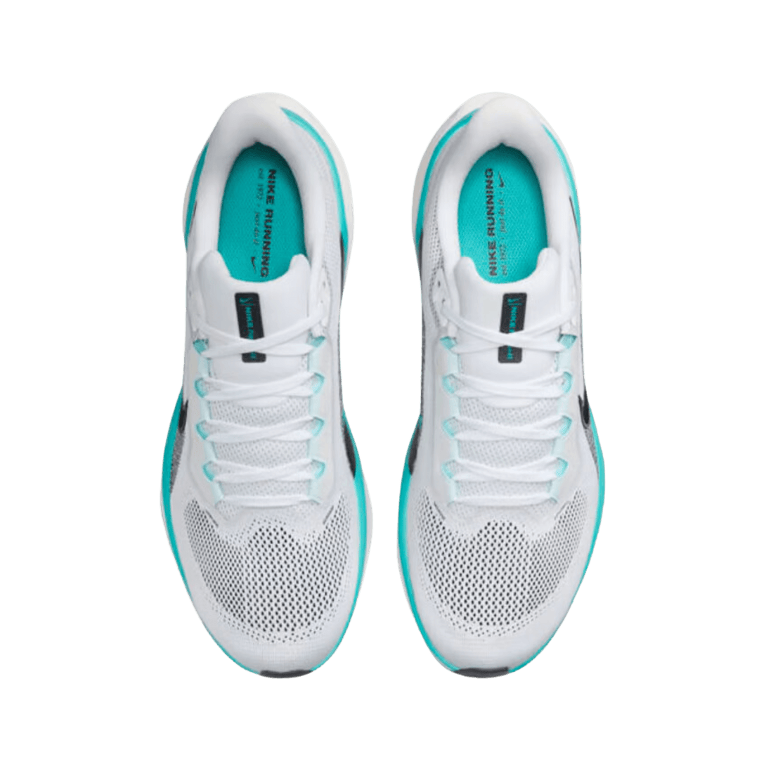 NIKE MEN'S PEGASUS 41