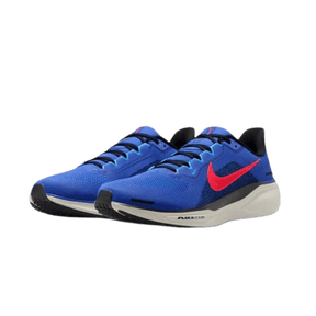 NIKE MEN'S PEGASUS 41