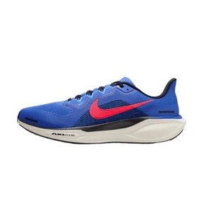 NIKE MEN'S PEGASUS 41