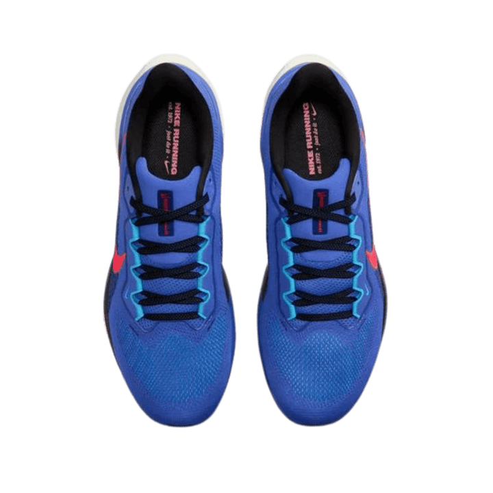 NIKE MEN'S PEGASUS 41