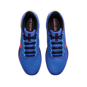 NIKE MEN'S PEGASUS 41