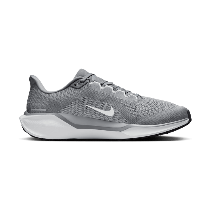 NIKE MEN'S PEGASUS 41