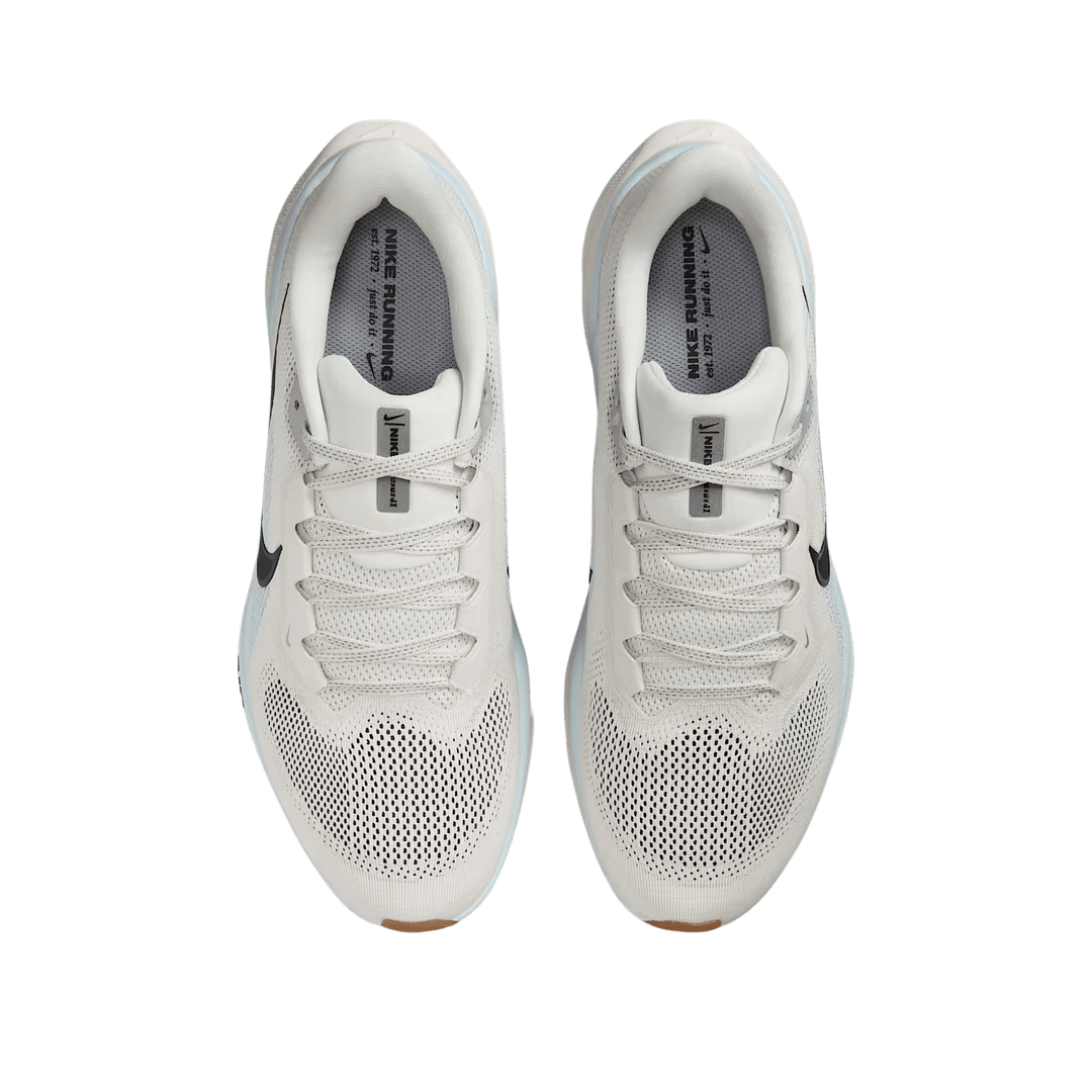 NIKE MEN'S PEGASUS 41