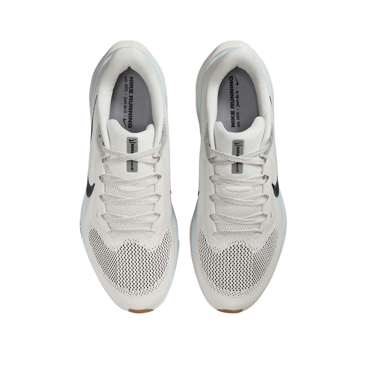 NIKE MEN'S PEGASUS 41
