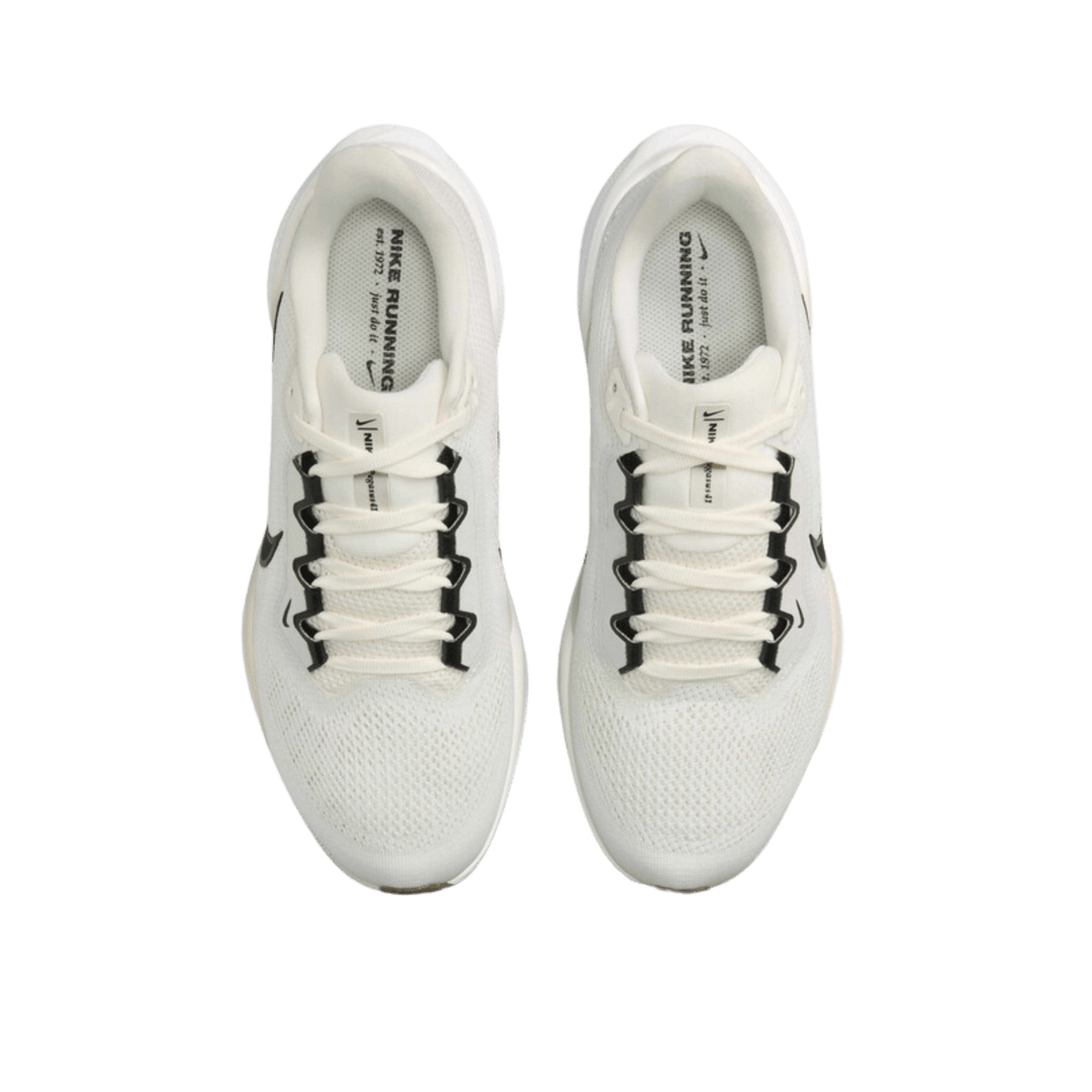 NIKE WOMEN'S PEGASUS 41 – Luke's Locker Running Fitness