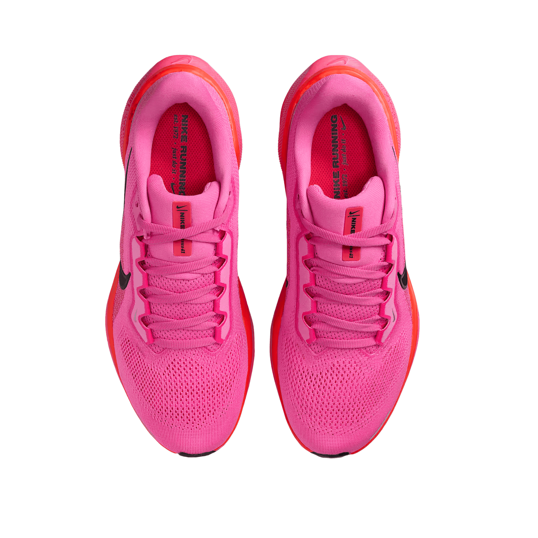 NIKE WOMEN'S PEGASUS 41