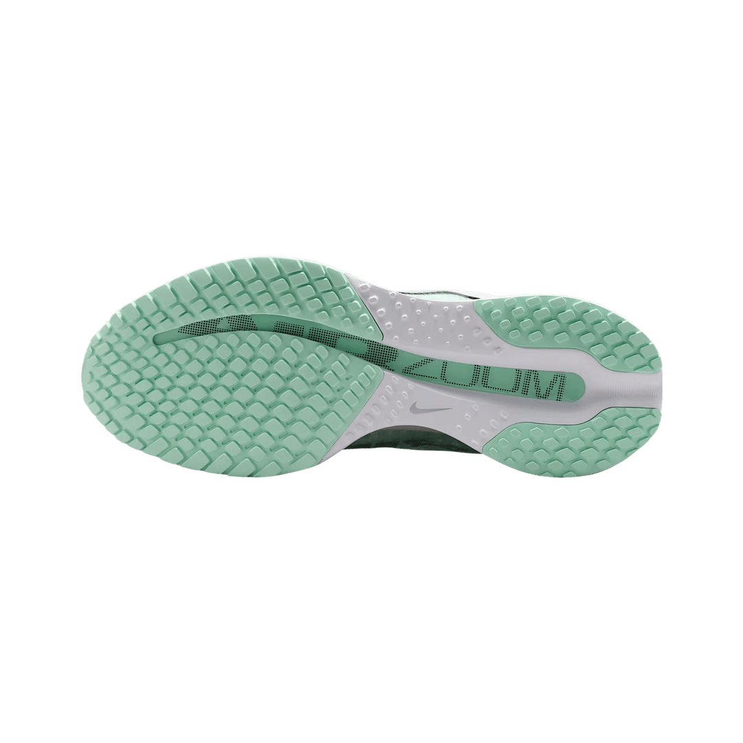 NIKE WOMEN'S PEGASUS PREMIUM