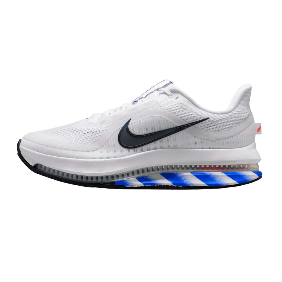 NIKE MEN'S PEGASUS PREMIUM