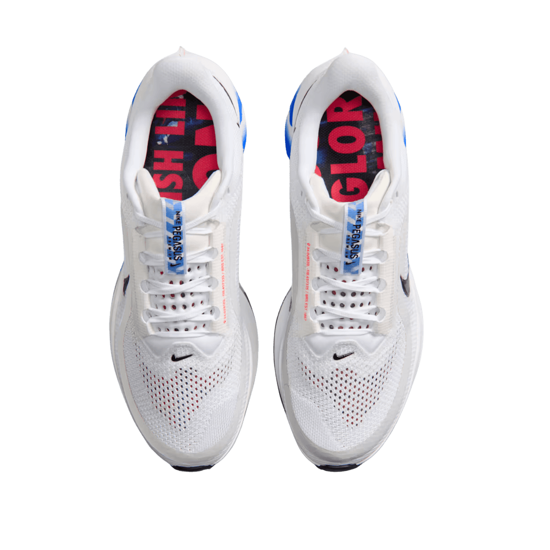 NIKE MEN'S PEGASUS PREMIUM