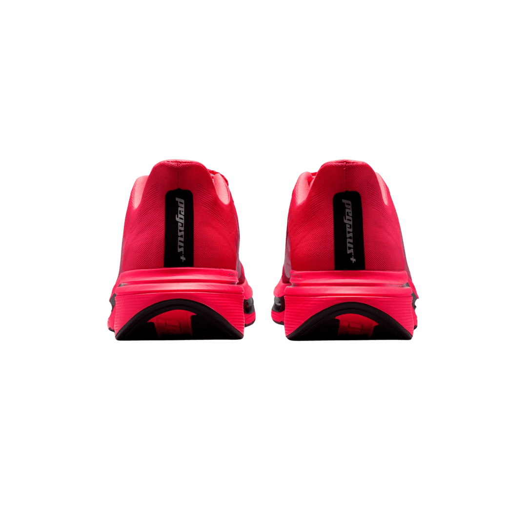 NIKE WOMEN'S PEGASUS PLUS 2