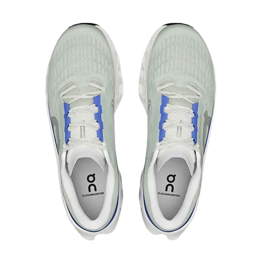 ON RUNNING MEN'S CLOUDMONSTER 3