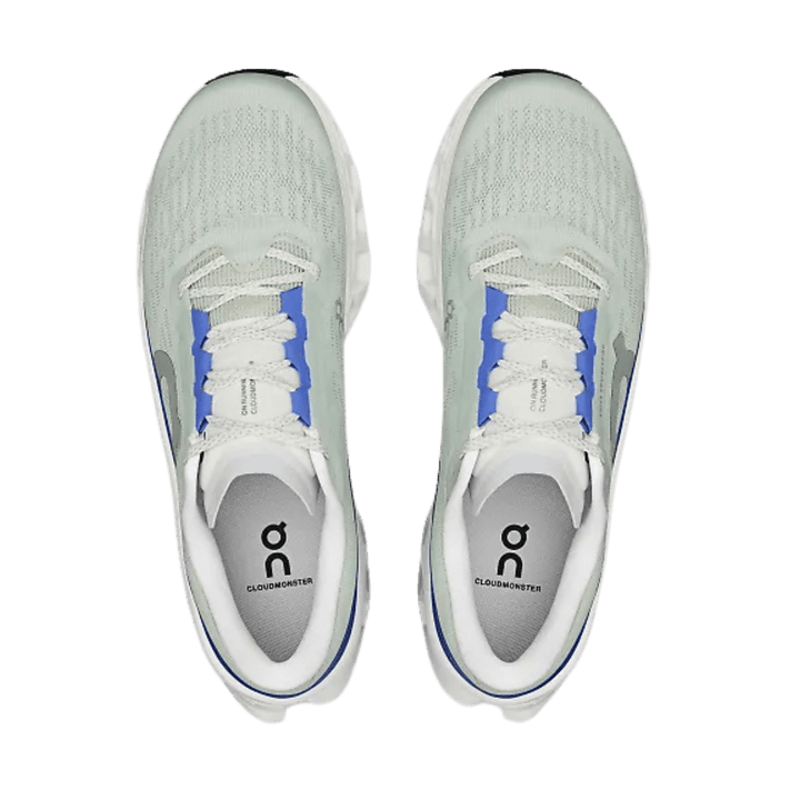 ON RUNNING MEN'S CLOUDMONSTER 3